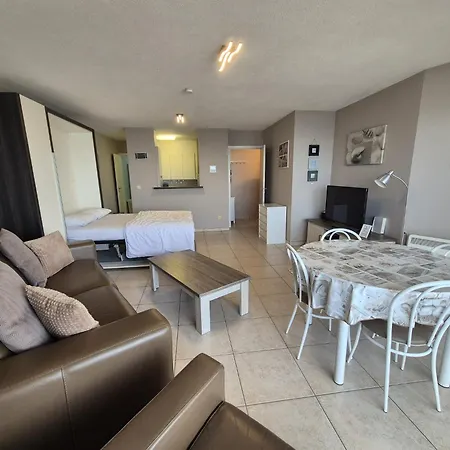 Apartment Large Beachstudio Seaview Near Brugge *